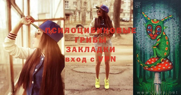 2c-b Балахна