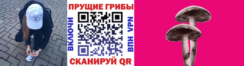 Галлюциногенные грибы Magic Shrooms  купить закладку  Соль-Илецк 