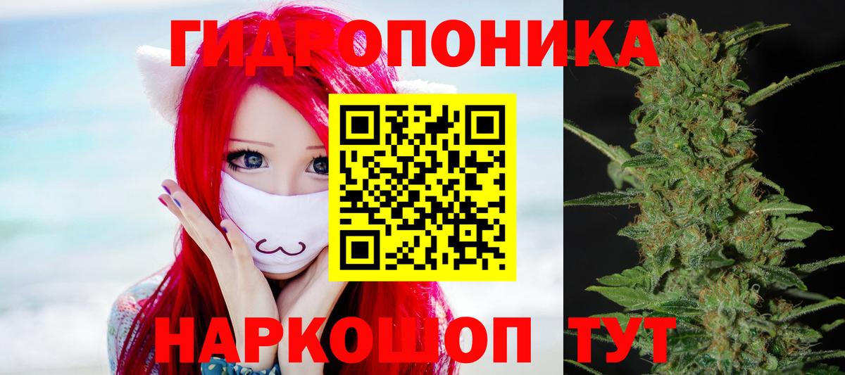 Каннабис планчик Соль-Илецк